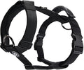 Spark Paws Comfort Control No Pull Dog Harness - Heavy Duty Front Clip | Safety Tested for Strong Breeds, w/ Metal Buckle & Top Handle – Padded Y-Straps Redirect Pulling. Solo or Matching Leash Set