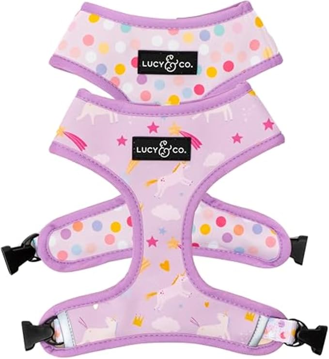 Lucy & Co. Reversible Dog Harness - Water-Repellent Neoprene, Dual-Print Design, Easy Swap Style, Adjustable Comfort Fit - Making Magic Reversible Harness - X-Small
