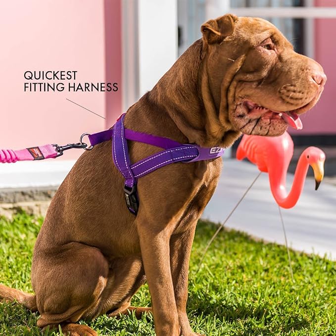 EzyDog Quick Fit Dog Harness, Soft Neoprene Padding - XX-Small, Blue | Fast One-Click Buckle, Adjustable Fit, Strong Reinforced Materials, Reflective Stitching, No Pull Dog Harness, Easy Walking