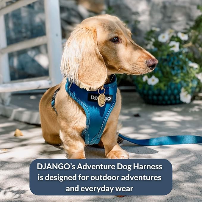 Adventure Dog Harness - Stylish and Durable Medium Dog Harness for Outdoor Adventures and Everyday Wear - Indigo Blue Neoprene Adjustable Harness for Dogs with Reflective Piping, Brass D-Ring