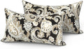 LVTXIII Set of 2 Outdoor Lumbar Pillows for Patio Furniture with White Piping, 12"x20" Fade Resistant Patio Lumbar Pillows with Inserts for Home Coach Sofa Use, Paisley Black