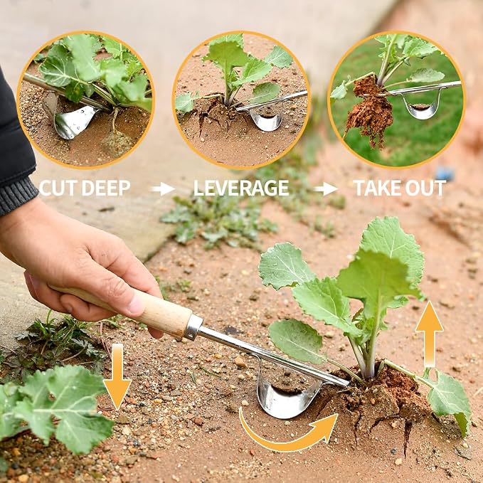 Hand Weeder Tool, Stainless Steel 2 Pcs Weeder Tool for Garden and Farm,Weeding Tool for Gardening,Garden Weeder, Weed Pulling Tool, Weed Puller Tool(Wooden Handle)…