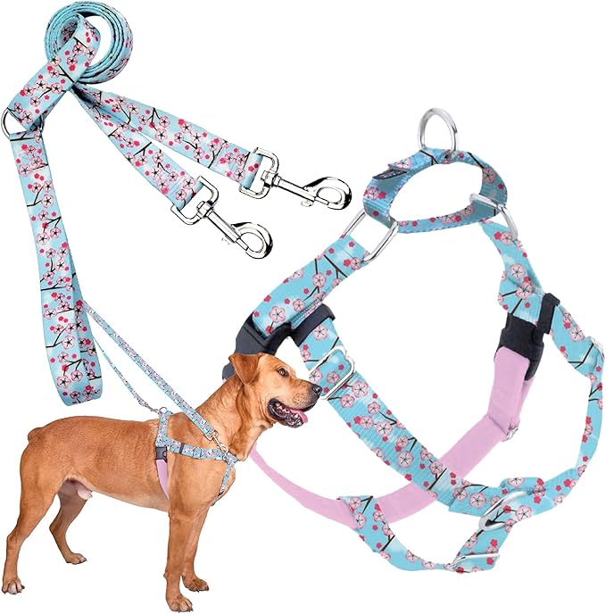 2 Hounds Design - Freedom No-Pull Harness & Training Leash in Pink and Blue | Dual Leash Loops, No Pulling on Walks | Lined to Prevent Chaffing | for Large Sized Dogs (Size M, Chest 24”- 28”)