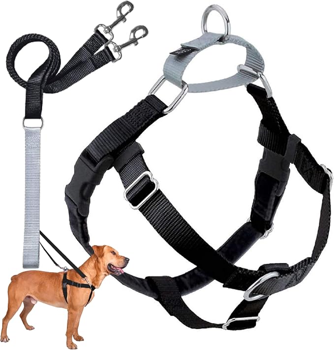 2 Hounds Design Freedom No Pull Dog Harness and Leash, 1" MD, Black | Promotes Easy Walking & Comfortable Control, Secure Fit, Adjustable Harness and Leash Set for Medium Sized Dogs, Made in USA