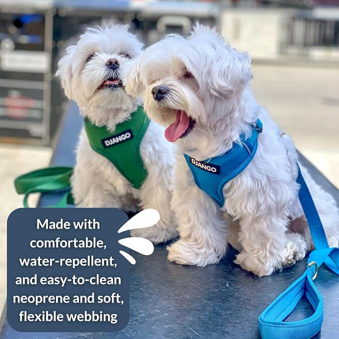 Adventure Dog Harness - Stylish and Durable Small Dog Harness for Outdoor Adventures and Everyday Wear - Forest Green Neoprene Adjustable Harness for Dogs with Reflective Piping & Brass D-Ring