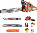 PROYAMA 62cc Gas Powered Chainsaw, 3 Position Spring Vibration System | 18" & 22" Bar and Chain, 3.5HP 2 Cycle Gas Power Handheld Chain Saw with Transparent Fuel Tank for Tree Wood Cutting