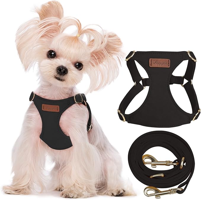 Puppytie XS Dog Harness and Leash Set, Black, XS (4.5-11 lbs) | Extra Small Dog Harness, Puppy Harness and Leash, Soft Lightweight and Adjustable, Xsmall Dog Harness for Daily Walks