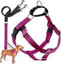 2 Hounds Design Freedom No Pull Dog Harness and Leash, 1" LG, Raspberry | Promotes Easy Walking & Comfortable Control, Secure Fit, Adjustable Harness and Leash Set for Large Sized Dogs, Made in USA