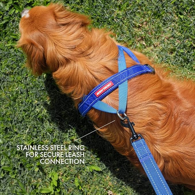 EzyDog Quick Fit Dog Harness, Soft Neoprene Padding - XX-Small, Blue | Fast One-Click Buckle, Adjustable Fit, Strong Reinforced Materials, Reflective Stitching, No Pull Dog Harness, Easy Walking