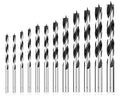 Brad Point Wood Drill Bit Set, 12Pcs Metric Drill Bit Set with Double Flutes Design for Carpenter Woodworking and All Types of Wood (3mm - 12mm)