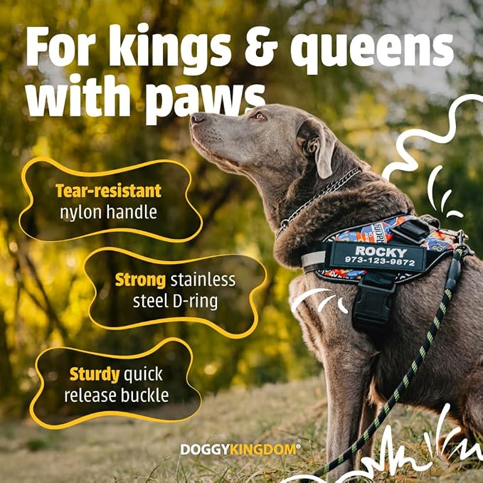 Personalized Dog Harness with Custom Name Patches, Adjustable Reflective No Choke Dog Vest with Handle for Small Dogs and Growing Puppy, Black, XS