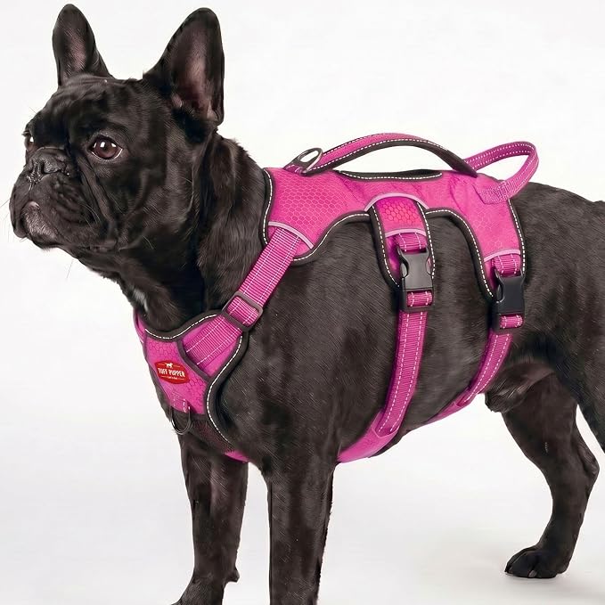 Tuff Pupper Escape Proof No Escape Dog Harness | 5 Point Adjustable Fit Harness for Dogs | Padded Dog Harnesses | Handle Dog Lift Harnesses