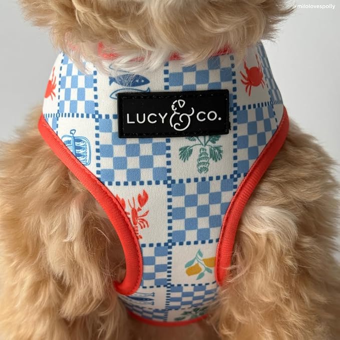 Lucy & Co. Sunny in Sicily Reversible Dog Harness, Adjustable Comfort Fit with Dual Leash Attachments, X-Small