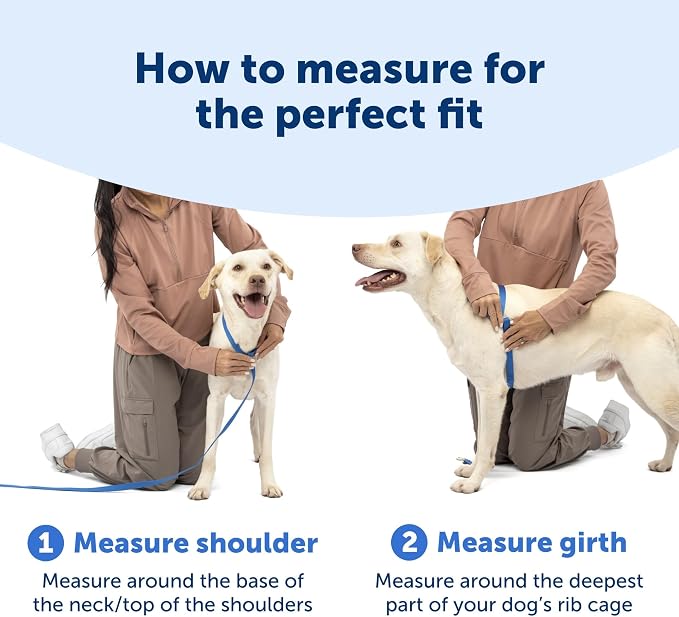 PetSafe Easy Walk Comfort No Pull Dog Harness, Green Gingham, Large | Stops Pulling on First Use with Front Martingale Loop, Padded Comfort, 5-Point Adjustable Fit