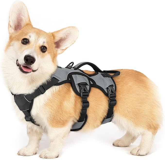 rabbitgoo Escape Proof Dog Harness for Small, No Pull with Lift Handle | No Escape, Full Soft Padded, Reflective Adjustable Vest, Leash Clip for Walking Hiking Training, Grey, Small