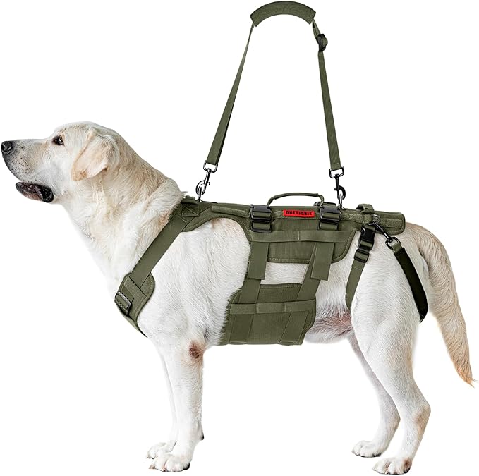 OneTigris Dog Lift Harness for Large Dogs, Dog Hip Support Brace, Full Body Dogs Lifter with Handles Invictus Multifunctional Mobility Assistance Vest for Back Legs (Green, Small)