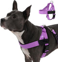 Dog Friendly Co. Dog Harness for Small Dogs, Adjustable (Purple, Small) | One Click Buckle, Chafe Resistant Webbing, Adjustable Neck & Chest, and Heavy Duty D-Ring, Sturdy Comfortable and Easy to Use