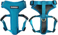 Adventure Dog Harness - Stylish & Durable Small Dog Harness for Outdoor Adventures and Everyday Wear - Pacific Blue Neoprene Adjustable Harness for Dogs with Reflective Piping, Brass D-Ring