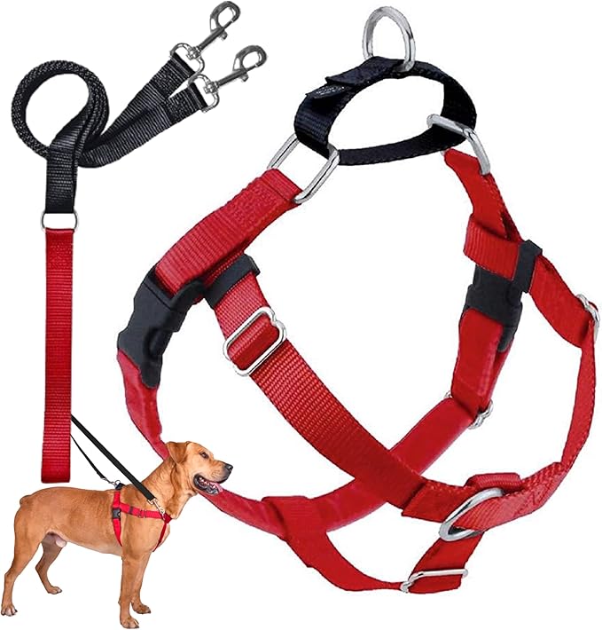 2 Hounds Design Freedom No Pull Dog Harness and Leash, 1" XL, Red | Promotes Easy Walking & Comfortable Control, Adjustable Harness and Leash Set for Extra Large Sized Dogs, Made in USA