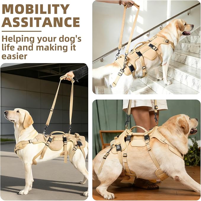 PUPTECK Dog Lift Harness for Medium Large Sized Dog, Rehabilitation Sling for Hind Leg Support, Multifunctional Mobility Assistance Harness for Old, Disabled, Joint Injuries, Paralysis Dogs, Brown M