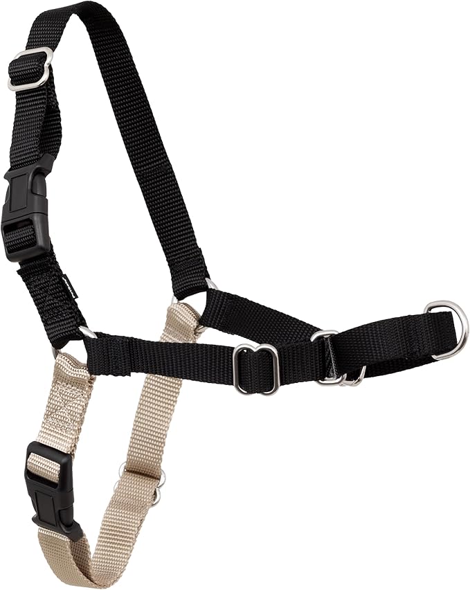 PetSafe Easy Walk Harness, No Pull Dog Harness, Black, Petite | Patented Martingale Loop Gives Gradual Shoulder Pressure to Stop Pulling, Front-Chest Leash Clip Prevents Gagging