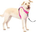 PetSafe Easy Walk Comfort No Pull Dog Harness, Pink, Large | Stops Pulling on First Use with Front Martingale Loop, Full-Body Padding, 5-Point Adjustable Fit