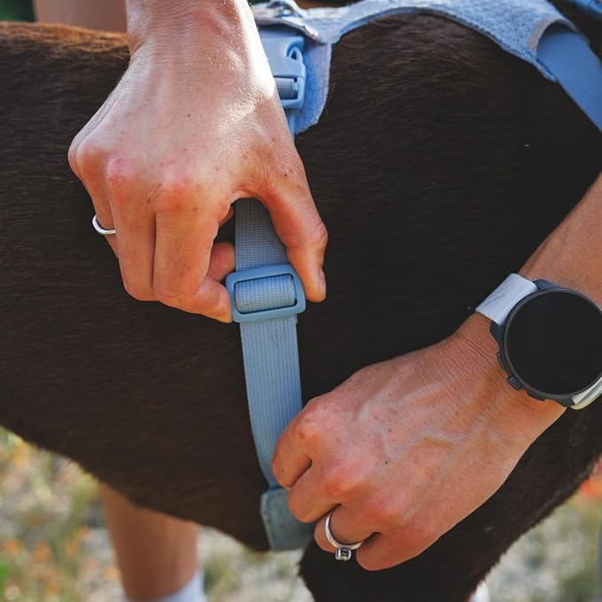 Ruffwear, Front Range Flex Dog Harness, Engineered Knit Construction for Ultimate Fit and Mobility, Lightweight Flexible Everyday Harness with Dual Leash Clips, Basalt Gray, Small