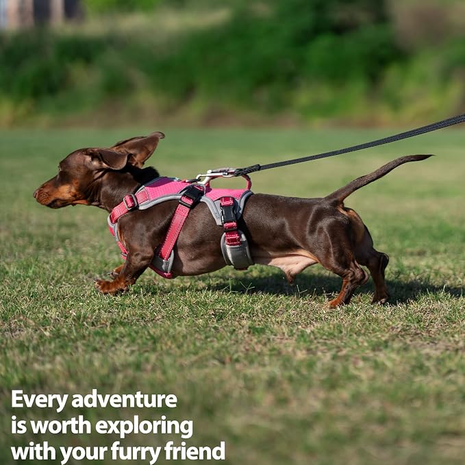 Escape Proof Dog Harness, Dachshund Harness, Reflective Dog Harness with Handle, Durable,Adjustable Vest for Small Medium Large Dogs Walking, Training, and Running Gear (Rose red,S)