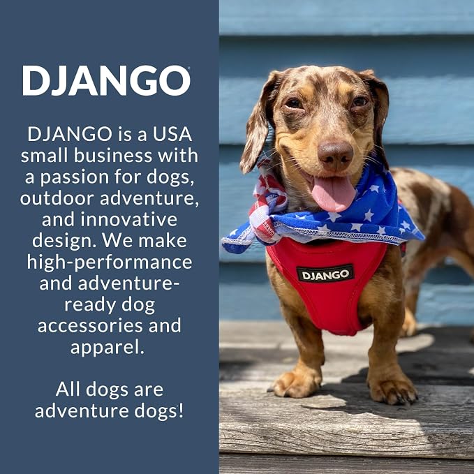 Adventure Dog Harness - Stylish and Durable Small Dog Harness for Outdoor Adventures and Everyday Wear - Red Neoprene Adjustable Harness for Dogs with Reflective Piping, Solid Brass D-Ring