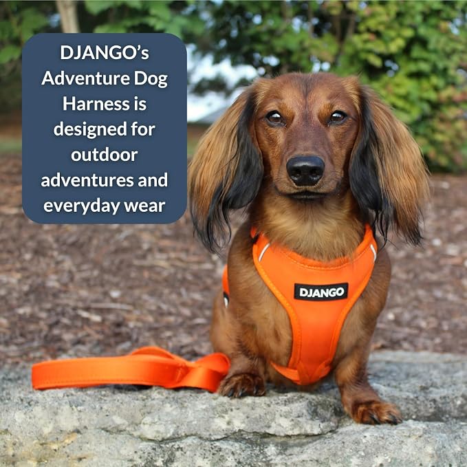 Adventure Dog Harness - Stylish, & Durable Small Dog Harness for Outdoor Adventures and Everyday Wear - Sunset Orange Neoprene Adjustable Harness for Dogs with Reflective Piping & Brass D-Ring