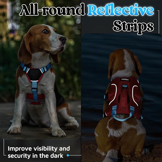 rabbitgoo Escape Proof Dog Harness for Small, No Pull with Lift Handle | No Escape, Full Soft Padded, Reflective Adjustable Vest, Leash Clip for Walking Hiking Training, Sky Blue & Red, Small