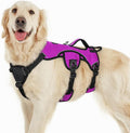 rabbitgoo Escape Proof Dog Harness for Large, No Pull with Lift Handle | No Escape, Full Soft Padded, Reflective Adjustable Vest, Leash Clip for Walking Hiking Training, Purple, Large