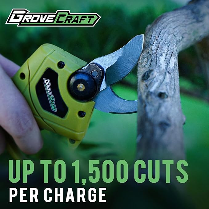 2-in-1 Pole Pruning Shears,1" Cutting Diameter Cordless Electric Pole Pruners - Brushless Motor, 2 * 4.0Ah Batteries, Branches Cutter for Tree & Flower(Fast Charger Included), Green