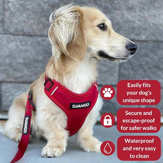 Adventure Dog Harness - Stylish and Durable Medium Dog Harness for Outdoor Adventures and Everyday Wear - Red Neoprene Adjustable Harness for Dogs with Reflective Piping, Solid Brass D-Ring