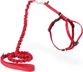 PetSafe Come With Me Kitty Harness and Bungee Leash, Harness for Cats, Small, Red/Cranberry, CWMK-S-RED | Adjustable 2-Point Fit Applies Gentle Pressure to Shoulders, Not Neck, for Kittens and Small Cats with 9 in - 11 in Girth
