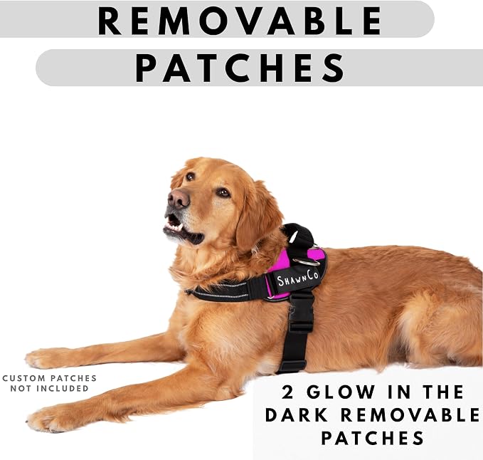 ShawnCo Essential Pro Dog Harness, No-Pull Pet Vest with Removable, Reflective Side Patches, Adjustable and Padded Harness for Small, Medium and Large Dogs (Mustang Red, XS)
