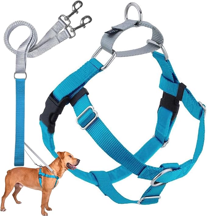 2 Hounds Design Freedom No Pull Dog Harness and Leash, 1" XL, Turquoise | Promotes Easy Walking & Comfortable Control, Adjustable Harness and Leash Set for Extra Large Sized Dogs, Made in USA