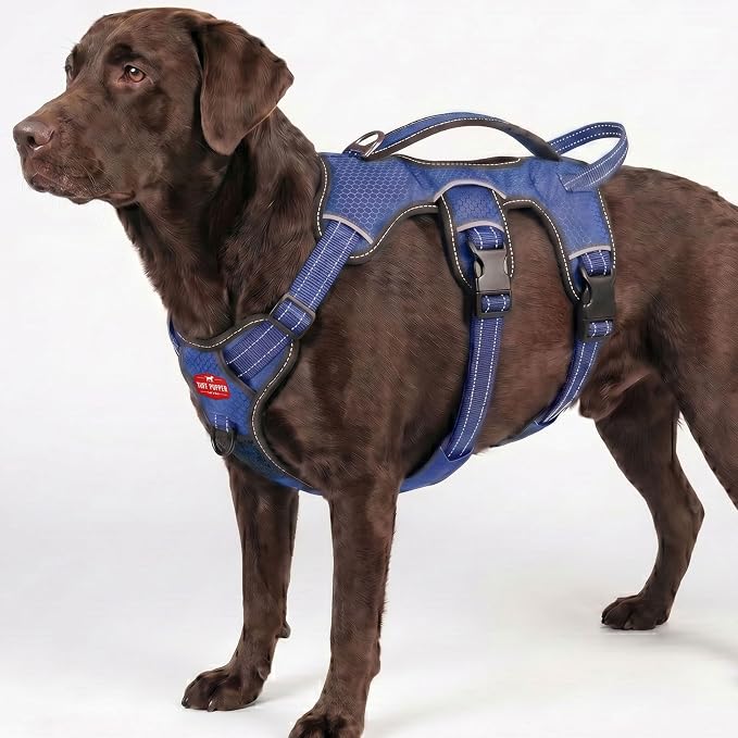 Tuff Pupper Escape Proof No Escape Dog Harness | 5 Point Adjustable Fit Harness for Dogs | Padded Dog Harnesses | Handle Dog Lift Harnesses