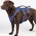 Tuff Pupper Escape Proof No Escape Dog Harness | 5 Point Adjustable Fit Harness for Dogs | Padded Dog Harnesses | Handle Dog Lift Harnesses