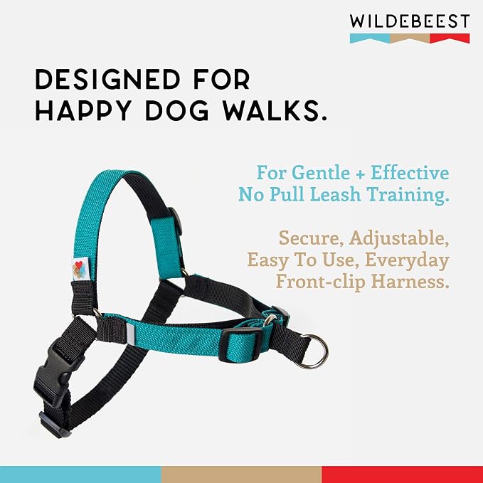 No Pull Dog Harness | Comfortable Training Harnesses | Effective No Pull Harness Design | Ideal for Large Sized Dog | 4-Point Adjustable(L - 26~32 inch Girth, Turquoise)