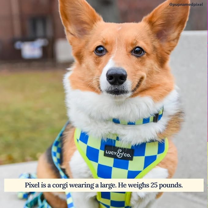 Lucy & Co. Reversible Dog Harness - Water-Repellent Neoprene, Dual-Print Design, Easy Swap Style, Adjustable Comfort Fit - Have a Nice Day Reversible Harness - X-Small