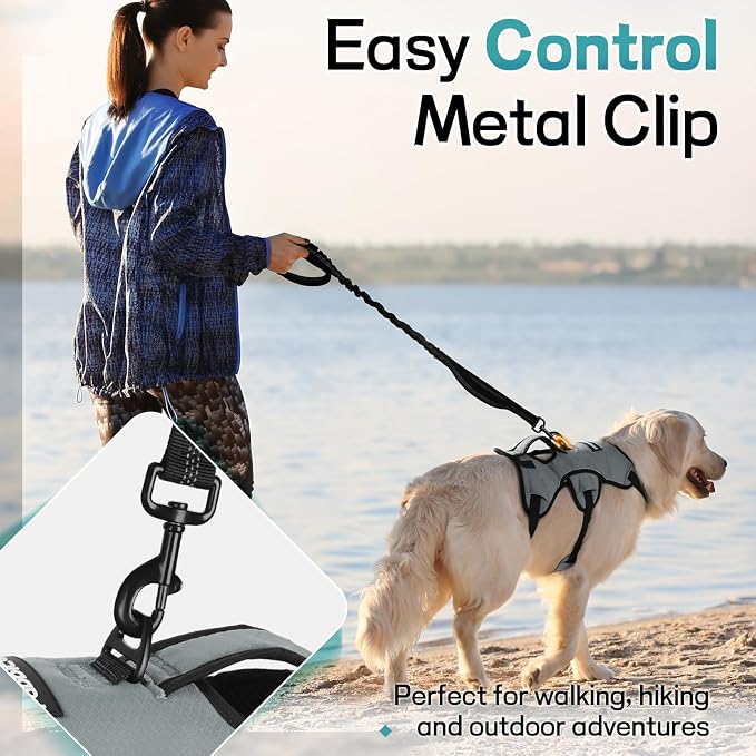 rabbitgoo Escape Proof Dog Harness for Medium, No Pull with Lift Handle | No Escape, Full Soft Padded, Reflective Adjustable Vest, Leash Clip for Walking Hiking Training, Grey, Medium