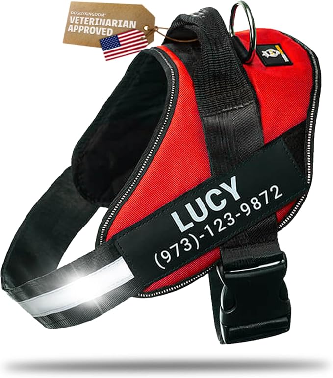 Personalized Dog Harness with Custom Name Patches, Adjustable Reflective No Choke Dog Vest with Handle for Medium Sized Dog, Red, M
