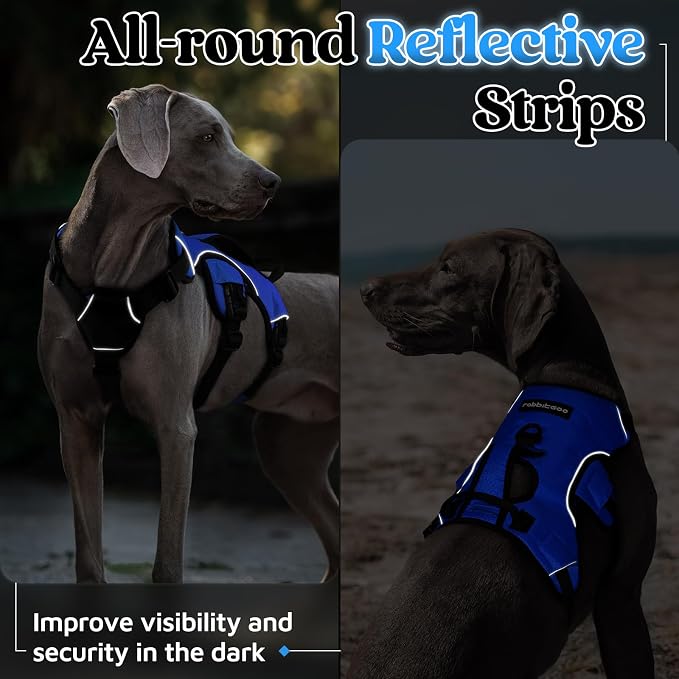 rabbitgoo Escape Proof Dog Harness for Large, No Pull with Lift Handle | No Escape, Full Soft Padded, Reflective Adjustable Vest, Leash Clip for Walking Hiking Training, Blue, Large