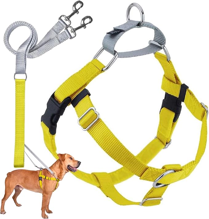 2 Hounds Design Freedom No Pull Dog Harness and Leash, 1" MD, Yellow | Promotes Easy Walking & Comfortable Control, Secure Fit, Adjustable Harness and Leash Set for Medium Sized Dogs, Made in USA