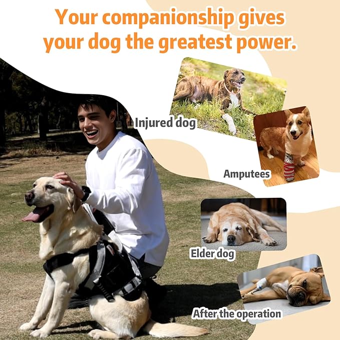 Dog Lift Harness for Large Dogs,Full Body Dog Sling Carrier, Black, XXL | Help Support Big, Elderly Pet with Arthritis, Front/Rear Legs Assistance with Handle, for Lifting Injured Dogs Up Stairs