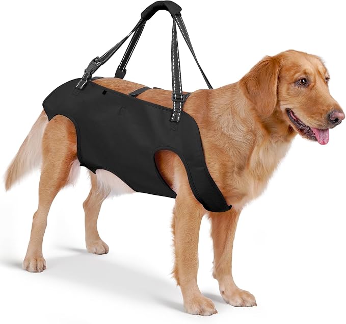 Full Body Dog Lift Harness, Support Senior & Disabled Dogs Walking | Help Up & Down Stairs Grooming, Dog Sling Backpack, Front Hind Leg Joint Injuries, Reflective, Soft Padded Handle | Black, XL