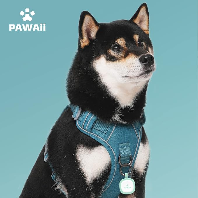Pawaii Small Dog Harness - Soft Padded Pet Vest with ID Tag, No Choke, Adjustable Control Handle