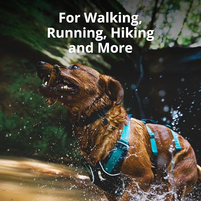 Ruffwear, Flagline Dog Harness, Lightweight and Reflective, No Pull Dog Lift Harness for Hiking, Running and Everyday Use, Lichen Green, XX-Small