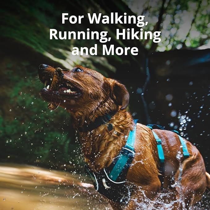 Ruffwear, Flagline Dog Harness, Lightweight and Reflective, No Pull Dog Lift Harness for Hiking, Running and Everyday Use, Lichen Green, Small